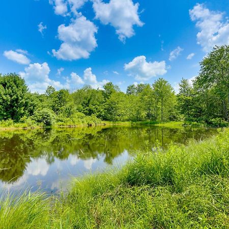 Secluded Poconos Cabin With Fire Pit On 75 Acres! East Stroudsburg Buitenkant foto